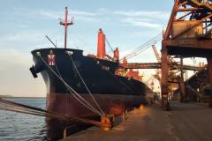 No Corredor de Exportação Leste do Porto de Paranaguá (Corex), duas operações em andamento chamam a atenção por fugirem da rotina do complexo portuário, pelo tipo de produto e modalidade de transporte adotado. A primeira pelo embarque de trigo para navegação interior (cabotagem). Outra, pelo sentido da carga e pela produtividade: 11 mil toneladas de milho de importação foram descarregadas em 24 horas.