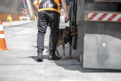Operação com Cães no Porto - 23/12/2021