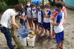 Como educação ambiental, Portos do Paraná implanta composteiras em escolas na Ilha do Mel