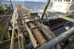 Embarques pelo corredor de exportação do Porto de Paranaguá crescem 7,4%