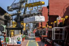 Movimentação dos portos do Paraná passa das 54 milhões de toneladas