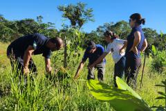 Portos do Paraná inicia plantio de mudas de árvores em áreas de preservação degradadas