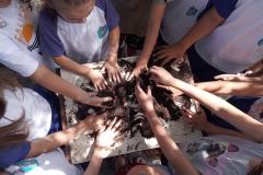 Ação coordenada pela Portos do Paraná envolveu 250 pessoas e compostou cerca de uma tonelada de resíduos orgânicos gerados na Ilha do Mel em 2022