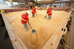 Portos do Paraná celebra importância dos trabalhadores neste 1.º de Maio