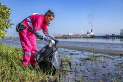 Mutirão de limpeza de manguezais da Portos do Paraná recolhe mais de 600 quilos de resíduos 