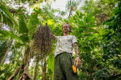 #praquemnaopodever homem de camisa branca e calça verde segura cacho com frutas de açaí juçara. A imagem mostra de baixo para cima e as arvores atras saltam aos olhos com seus galhos e folhas e verdes.