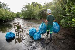 Mutirão remove mais de meia tonelada de lixo dos manguezais em Paranaguá