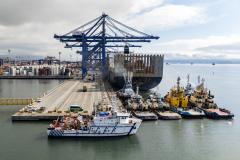 #praquemnaopodever imagem aerea do cais do Porto de Paranaguá mas visto de lado, com um navio-escola branco de 32 m de comprimento atracado. Ao fundo, guindastes, navios gigantes e conteineres empilhados.