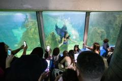 Portos do Paraná investe em manutenção e reforma do Aquário de Paranaguá