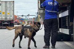 Simulado de combate ao tráfico de drogas no Porto de Paranaguá utiliza cães farejadores