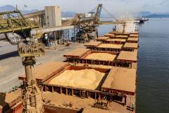 Soja responde por 21% da movimentação anual e lidera exportações nos portos do Paraná