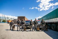 #ParaQuemNaoPodeVer Foto mostra seis policiais em uniforme camuflado em pé, lado a lado, acompanhados por quatro cães pastores. Eles estão em uma estrada, na frente de uma viatura policial com luzes vermelhas e de um caminhão grande coberto com lona verde. O céu está azul com algumas nuvens e o clima parece ensolarado. Ao fundo, é possível ver árvores e um prédio ou galpão.