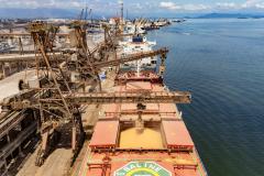 #praquemnaopodever o cais do Porto de Paranaguá visto de cima, sendo o primeiro navio mais proximo da camera um graneleiro repleto de soja e, ao fundo, diversos navios enfileirados ao longo do cai