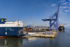 Porto de Paranaguá recebe navios específicos para o transporte de veículos