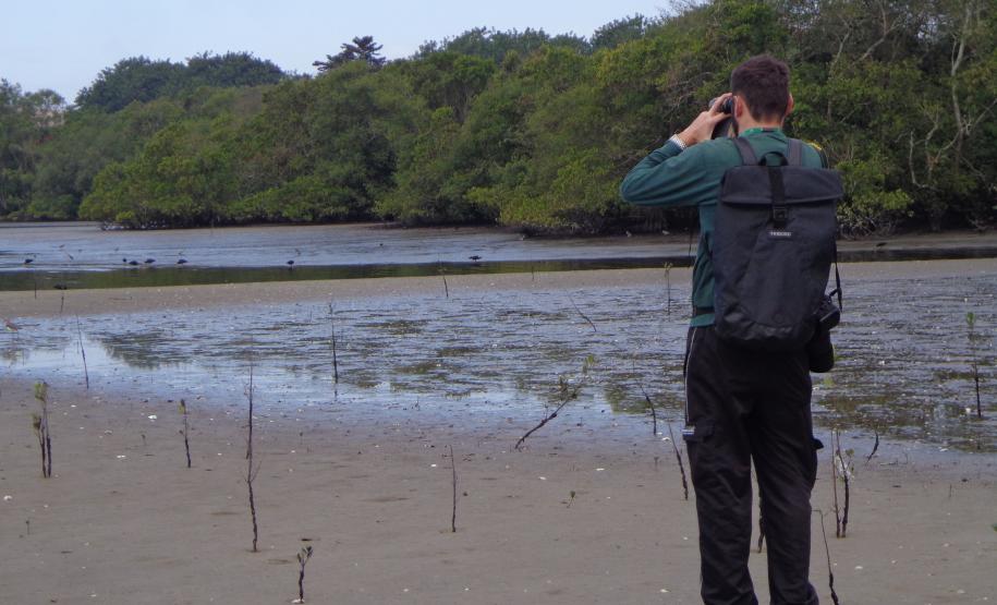 Monitoramento de Manguezais