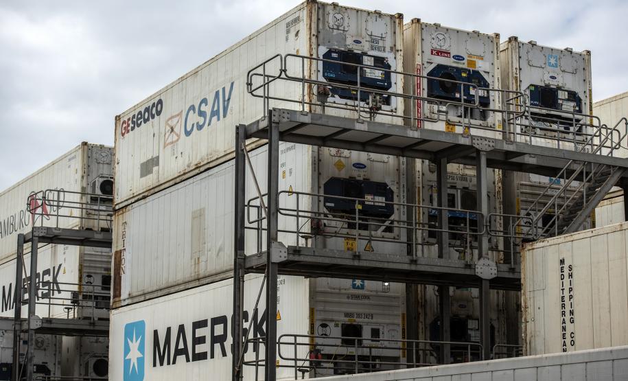 Exportações de carne suína pelo Porto de Paranaguá crescem 58%