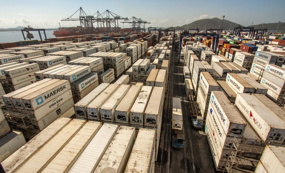 Exportações de carne suína pelo Porto de Paranaguá crescem 58%