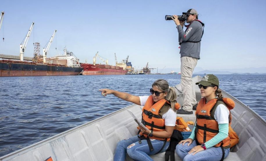 Monitoramento Ambiental