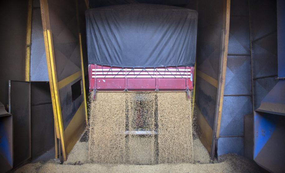 Porto de Paranaguá registra recorde na descarga de vagões