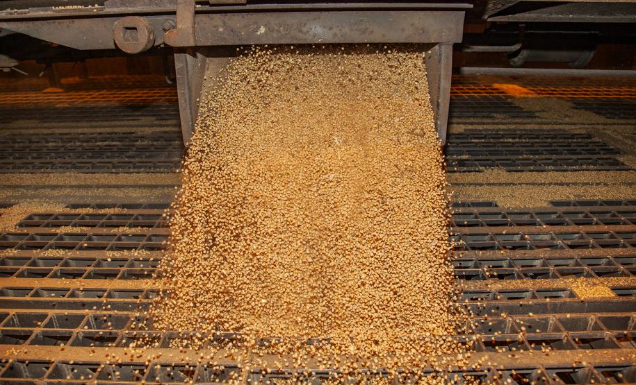 Porto de Paranaguá registra recorde na descarga de vagões