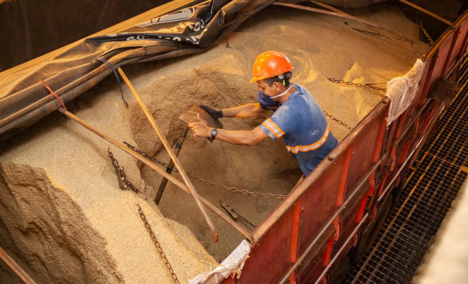 O volume estimado para embarque no último trimestre de 2019 é 14% maior que o total movimentado pelo setor no mesmo período do ano passado. Nos três últimos meses de 2018 foram exportadas cerca de 5,26 milhões de toneladas de soja, milho, farelo e açúcar.