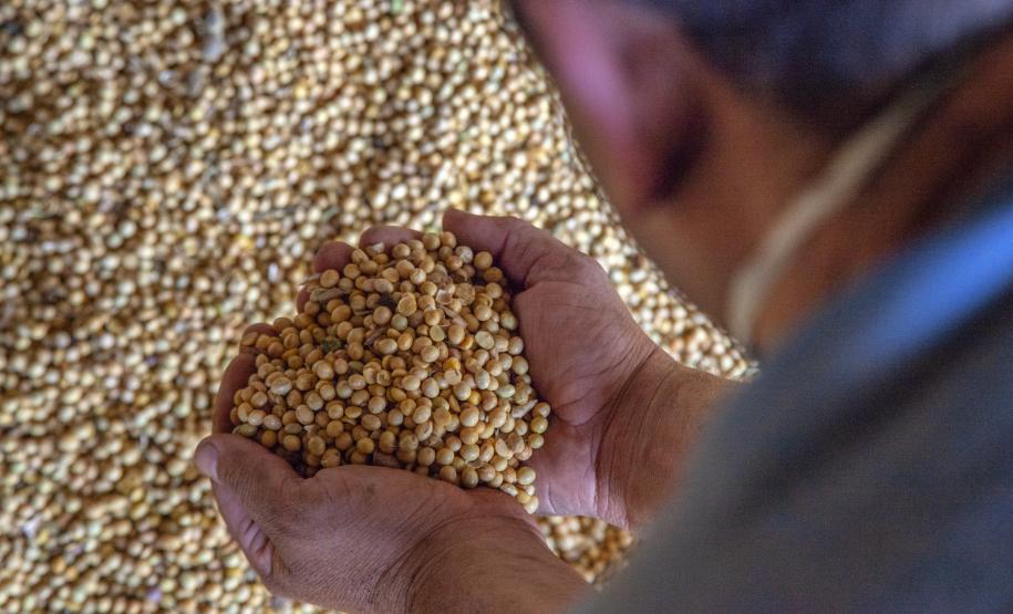 O volume estimado para embarque no último trimestre de 2019 é 14% maior que o total movimentado pelo setor no mesmo período do ano passado. Nos três últimos meses de 2018 foram exportadas cerca de 5,26 milhões de toneladas de soja, milho, farelo e açúcar.