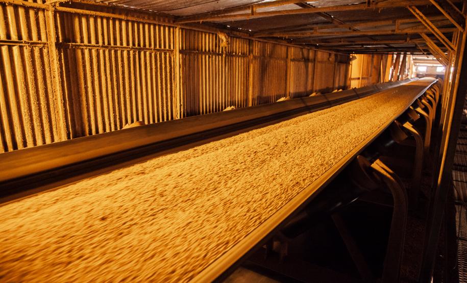 O volume estimado para embarque no último trimestre de 2019 é 14% maior que o total movimentado pelo setor no mesmo período do ano passado. Nos três últimos meses de 2018 foram exportadas cerca de 5,26 milhões de toneladas de soja, milho, farelo e açúcar.