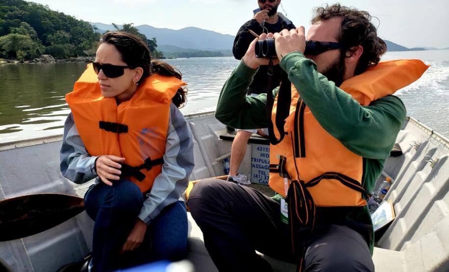 Levantamento soma-se a diversos programas ambientais desenvolvidos nas baias de Paranaguá e Antonina. Nesta ação foram avistadas 23 espécies, sendo as mais comuns o biguá e o urubu.