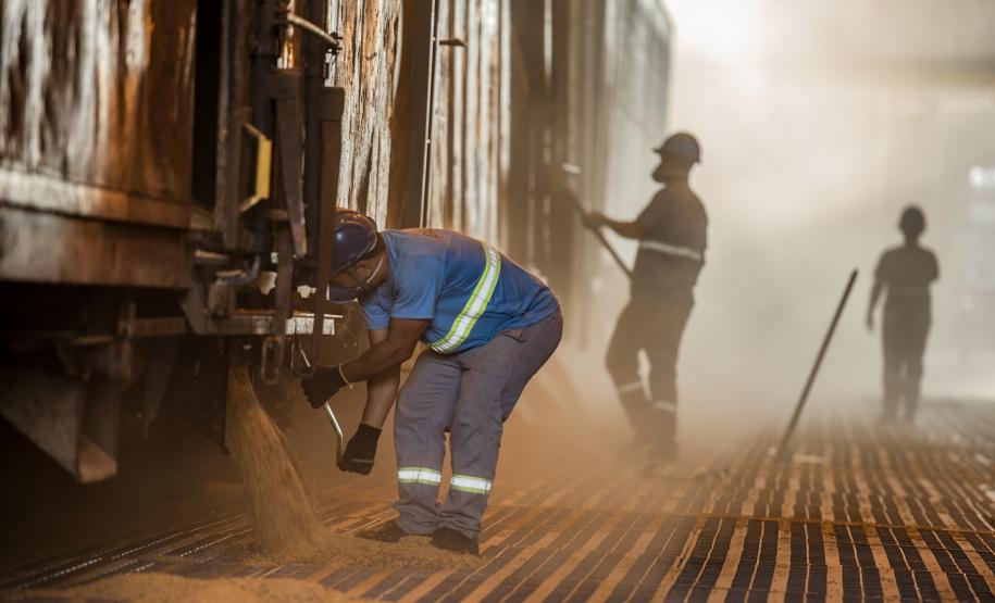 Estatística mostra que nos oito últimos meses, complexo de exportação de grãos do Porto de Paranaguá carregou meio milhão de tonelada a mais de grãos, em comparação com 2018