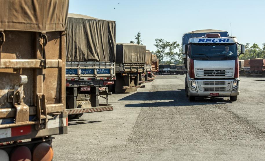 De janeiro a novembro deste ano foram embarcadas 5,49 milhões de toneladas do grão. No mesmo período de 2018 o volume somou 911,3 mil toneladas. A quantidade também é maior do que a registrada nos cinco anos anteriores.
