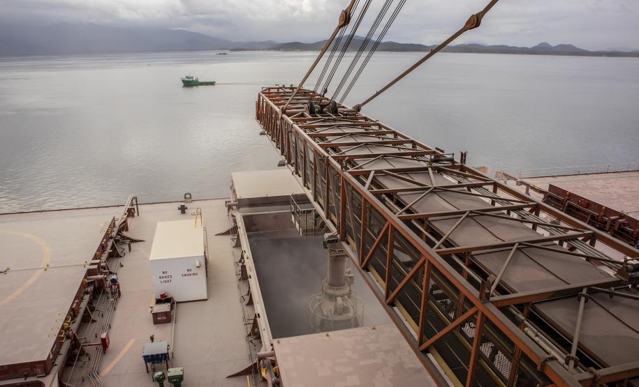 De janeiro a novembro deste ano foram embarcadas 5,49 milhões de toneladas do grão. No mesmo período de 2018 o volume somou 911,3 mil toneladas. A quantidade também é maior do que a registrada nos cinco anos anteriores.