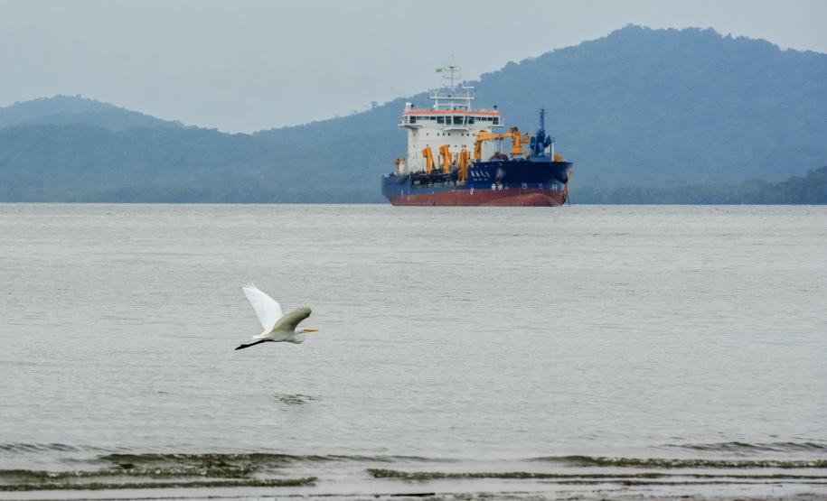 O cuidado com o Meio Ambiente também marcou o ano nos portos paranaenses, que foram a única autoridade portuária do mundo a palestrar em evento da COP25, em Madri. O Porto de Paranaguá também se manteve na liderança dos maiores portos do Brasil no Índice de Desempenho Ambiental da Agência Nacional de Transportes Aquaviários (ANTAQ).