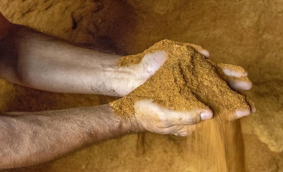 O Porto de Paranaguá embarca nesta semana a primeira carga de DDGS, um coproduto do processamento do milho para a fabricação de etanol – o que sobra do grão. A operação será um teste para que o produto passe a entrar na rotina das exportações paranaenses a granel. Neste primeiro lote, 27,5 mil toneladas serão levadas à Inglaterra pelo navio Interlink Acuity.