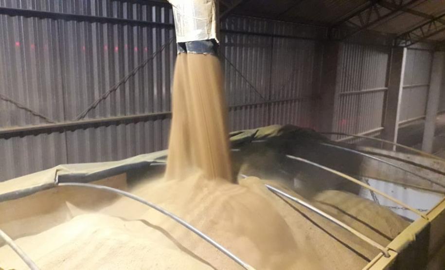 O produto embarcado pelo Porto de Paranaguá foi produzido em Sinop, no Mato Grosso, pela Inpasa Agroindustrial S.A. No Brasil, a empresa chega a processar 3,6 mil toneladas de milho por dia, produzindo 1,5 milhão de litros de etanol e mil toneladas de DDGS diariamente. Segundo o gerente comercial, Jeferson Santi, além da primeira exportação de DDGS da empresa pelo País, será a pioneira também no Brasil.