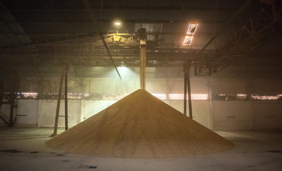 Depois de reformas e um ostensivo controle de pragas, os silos públicos horizontais do Corredor de Exportação do Porto de Paranaguá voltam a receber carga. Localizados no cais, em frente aos berços 212 e 213, os armazéns são destinados ao farelo de soja.