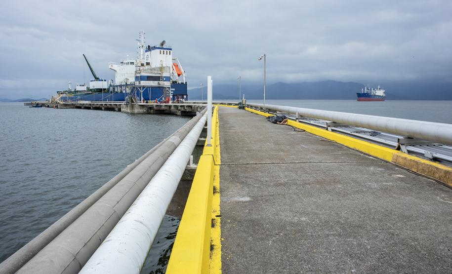 Novos mercados e negociações já estão em andamento, assim como a estrutura de armazenagem preparada. A expectativa é que neste ano os volumes de desembarque do produto por mangotes e dutos sejam maiores.