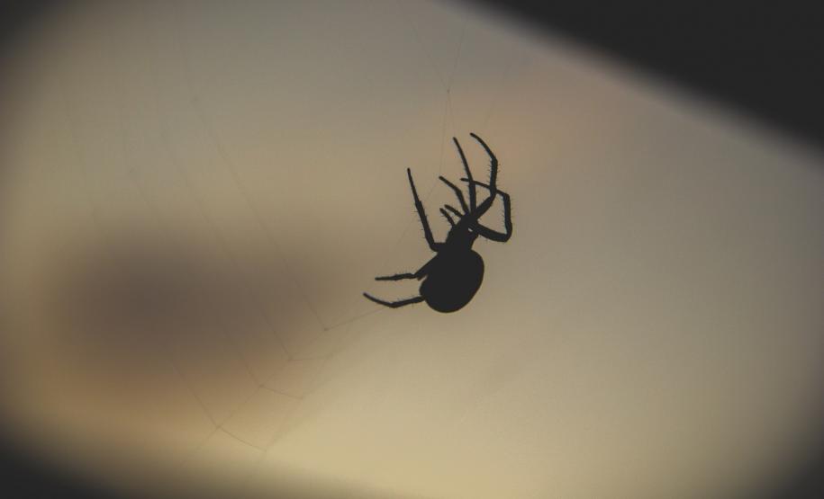 Parceria com o JB Litoral traz o biólogo Caio Fernandes para palestra no Palácio Taguaré