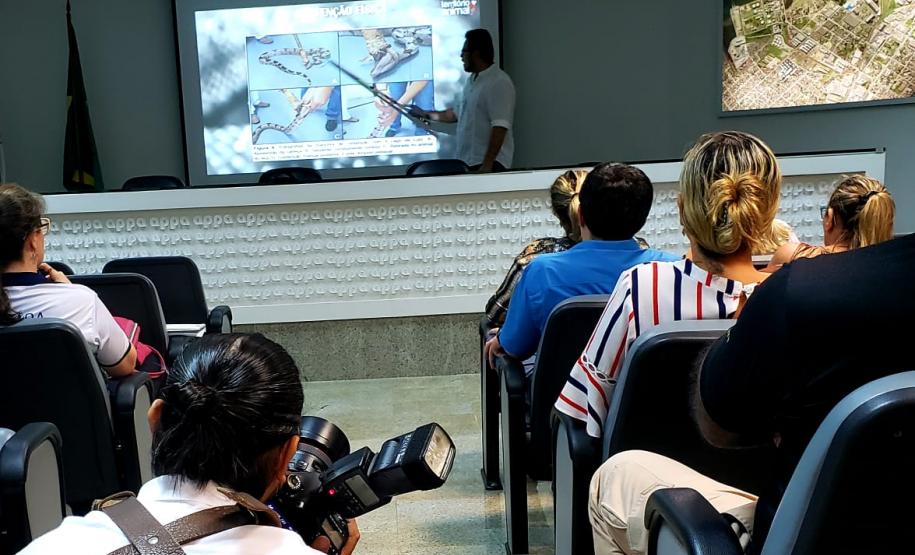 Época do ano, quente e úmida, registra grande aparecimento desses bichos, saber como proceder em caso de encontro ou picada, é fundamental