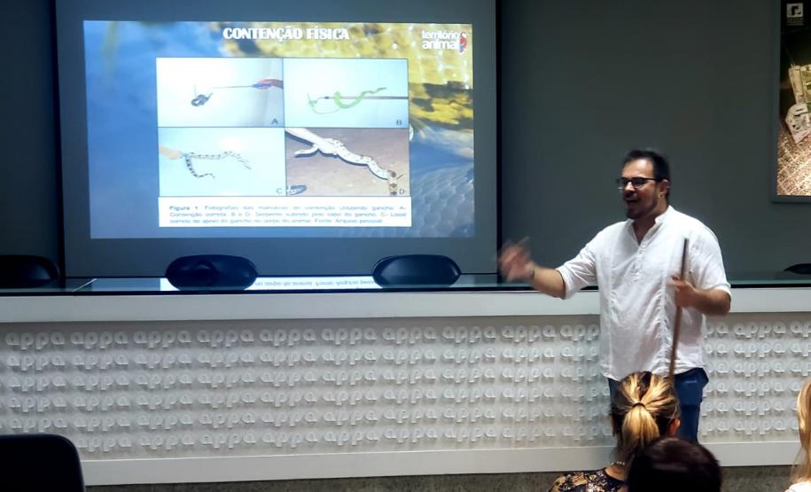 Época do ano, quente e úmida, registra grande aparecimento desses bichos, saber como proceder em caso de encontro ou picada, é fundamental