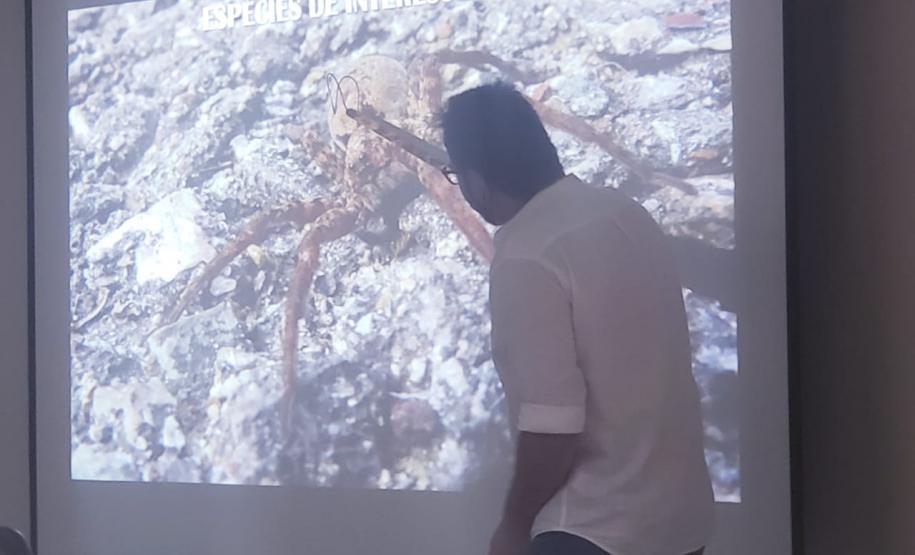 Época do ano, quente e úmida, registra grande aparecimento desses bichos, saber como proceder em caso de encontro ou picada, é fundamental