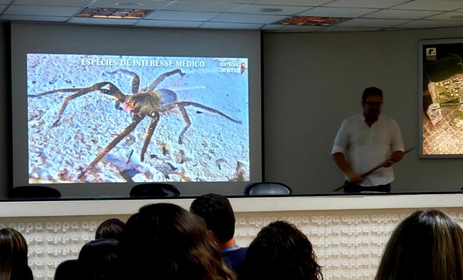 Época do ano, quente e úmida, registra grande aparecimento desses bichos, saber como proceder em caso de encontro ou picada, é fundamental