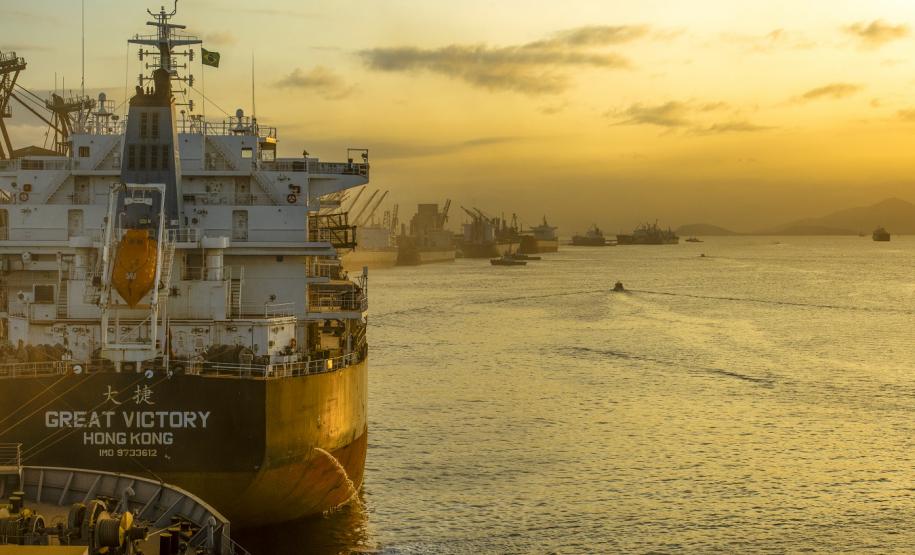 É líder na exportação de óleo vegetal e frango congelado, tem a maior capacidade em contêineres do país. É o segundo porto brasileiro na exportação de soja, farelo, açúcar, papel, carnes, álcool e veículos.