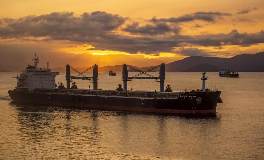 É líder na exportação de óleo vegetal e frango congelado, tem a maior capacidade em contêineres do país. É o segundo porto brasileiro na exportação de soja, farelo, açúcar, papel, carnes, álcool e veículos.
