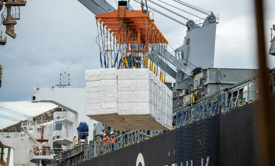 Na carga geral, o aumento registrado foi de 13%, comparando as 1,8 milhão de toneladas de carga e descarga deste ano com 1,6 milhão de toneladas operadas em 2019.