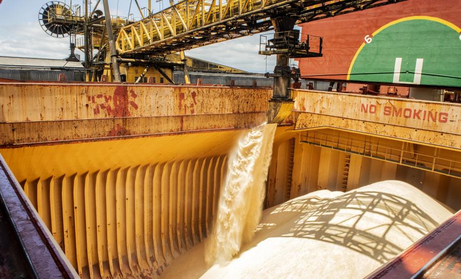 É líder na exportação de óleo vegetal e frango congelado, tem a maior capacidade em contêineres do país. É o segundo porto brasileiro na exportação de soja, farelo, açúcar, papel, carnes, álcool e veículos.