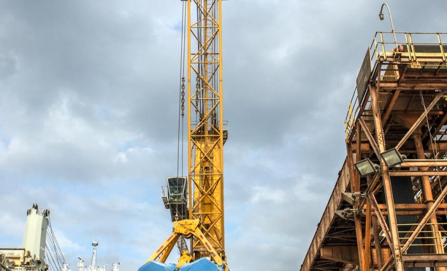 É líder na exportação de óleo vegetal e frango congelado, tem a maior capacidade em contêineres do país. É o segundo porto brasileiro na exportação de soja, farelo, açúcar, papel, carnes, álcool e veículos.