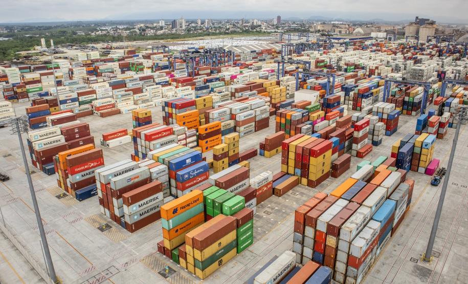 É líder na exportação de óleo vegetal e frango congelado, tem a maior capacidade em contêineres do país. É o segundo porto brasileiro na exportação de soja, farelo, açúcar, papel, carnes, álcool e veículos.