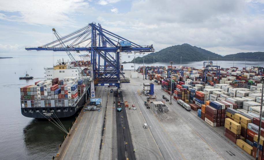 É líder na exportação de óleo vegetal e frango congelado, tem a maior capacidade em contêineres do país. É o segundo porto brasileiro na exportação de soja, farelo, açúcar, papel, carnes, álcool e veículos.