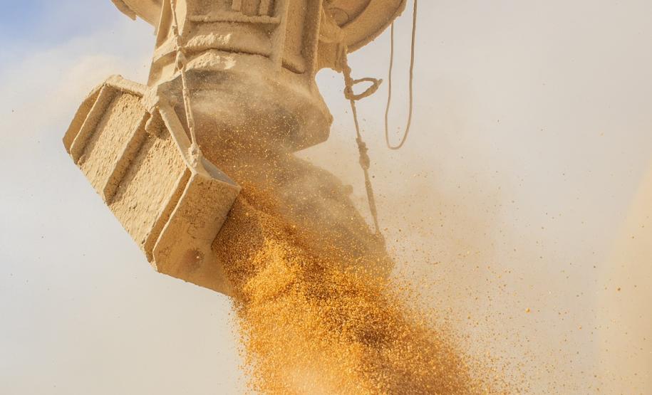 É líder na exportação de óleo vegetal e frango congelado, tem a maior capacidade em contêineres do país. É o segundo porto brasileiro na exportação de soja, farelo, açúcar, papel, carnes, álcool e veículos.