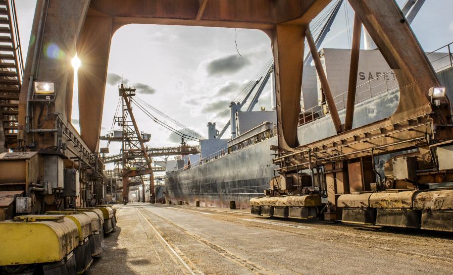 É líder na exportação de óleo vegetal e frango congelado, tem a maior capacidade em contêineres do país. É o segundo porto brasileiro na exportação de soja, farelo, açúcar, papel, carnes, álcool e veículos.